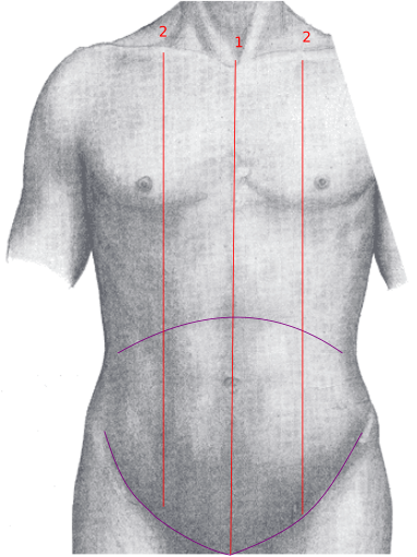 Sacrum