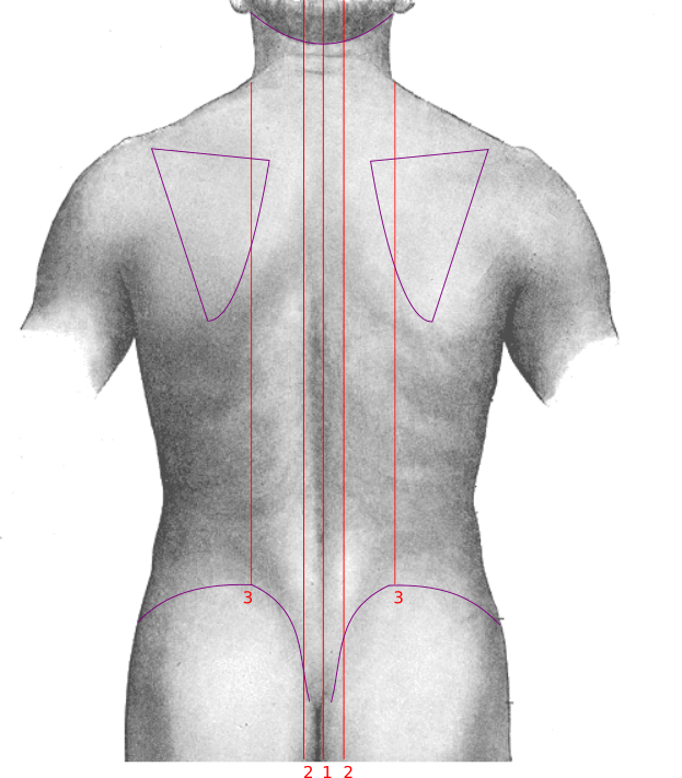 Sacrum