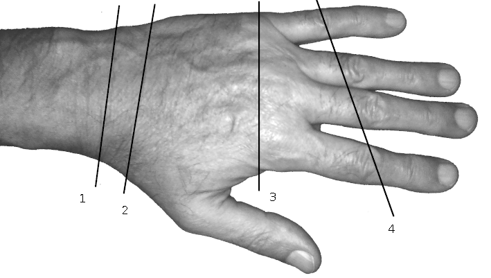 dos de ma main et lignes de déplacements